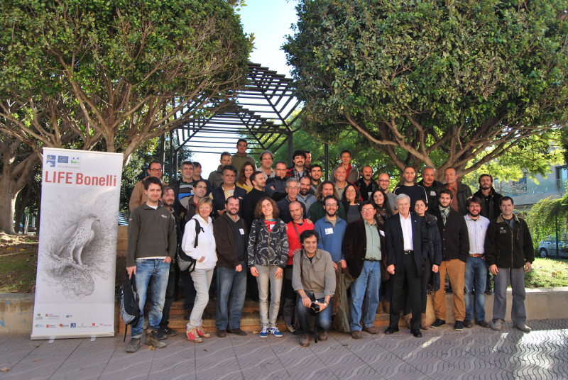 Foto de grupo de los participantes en el seminario del proyecto LIFE BONELLI celebrado en Palma de Mallorca (foto: Maripau Ruiz). 