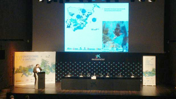 Carlota Viada, en el momento de la presentación sobre el LIFE BONELLI en el XXII Congreso Español de Ornitología