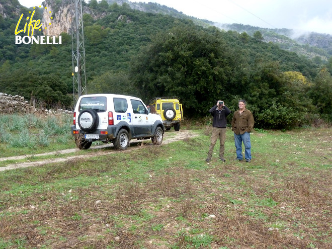 Ernesto Álvarez (COFIB) con Lluís Parpal (Gerente del COFIB) visitando una de las posibles zonas de liberación para el año que viene en la Serra de Tramuntana de Mallorca.