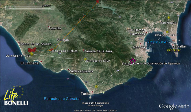 Detalle del  Viaje de Graná 2010 (rojo)  y Zahara 2014 (amarillo). La estrella morada denota la posición donde fue observada Zahara.