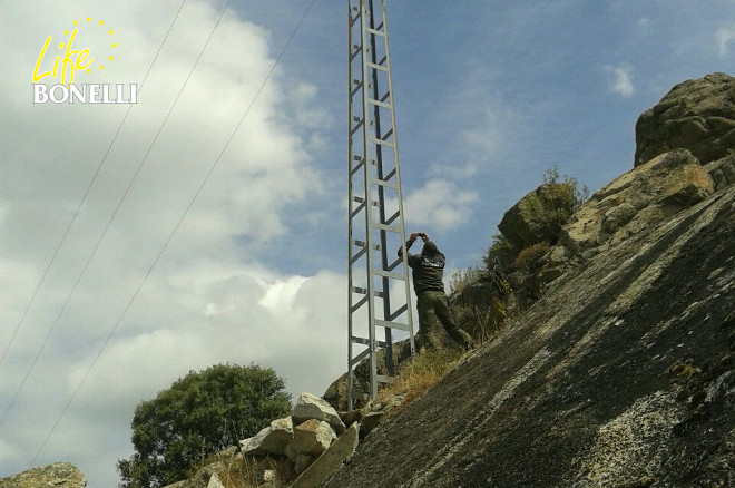 Forest officers of the District XI of the Community of Madrid, during characterization of the supports which are dangerous for the Bonelli’s Eagle.