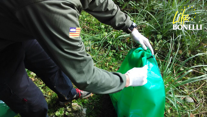 Un Agente de Medio Ambiente, con una bolsa precintada, durante el levantamiento del cadáver de Estepa. Foto: Tomeu Morro.