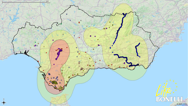 Areas most frequented by the eagles released through Life Bonelli. Kernel 95% yellow, Kernel 50% salmon colour.