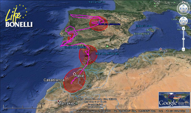 Mapa de las áreas importantes en la dispersión de 'Turón'