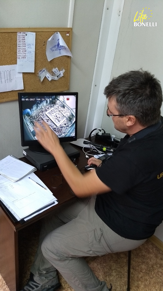 Javier Elorriaga explica al equipo de LIFE Bonelli la metodología de monitorización por cámaras del proyecto de reintroducción del águila pescadora.
