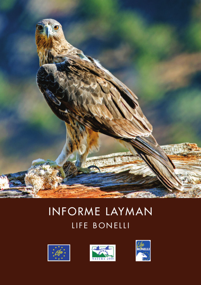 Portada del informe Layman sobre el proyecto LIFE Bonelli.