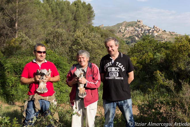 Momentos previos a la liberación de dos pollos de águila de bonelli mediante hacking en Navarra
