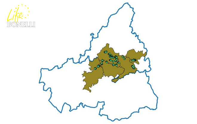 Figura 1. Situación de los transectos realizados.