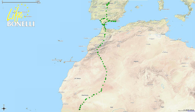 Figura 1 Mapas de las distintas dispersiones de las águilas. Abajo detalle del viaje transahariano de "Zahara".