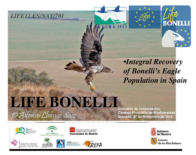 Jornada de presentación del Life Bonelli en Granada