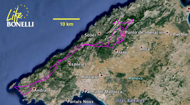 Primera escapada de Estepona, con dos visitas al Puig Major, y luego un largo viaje hasta la isla de Dragonera, a 45 km del hacking.