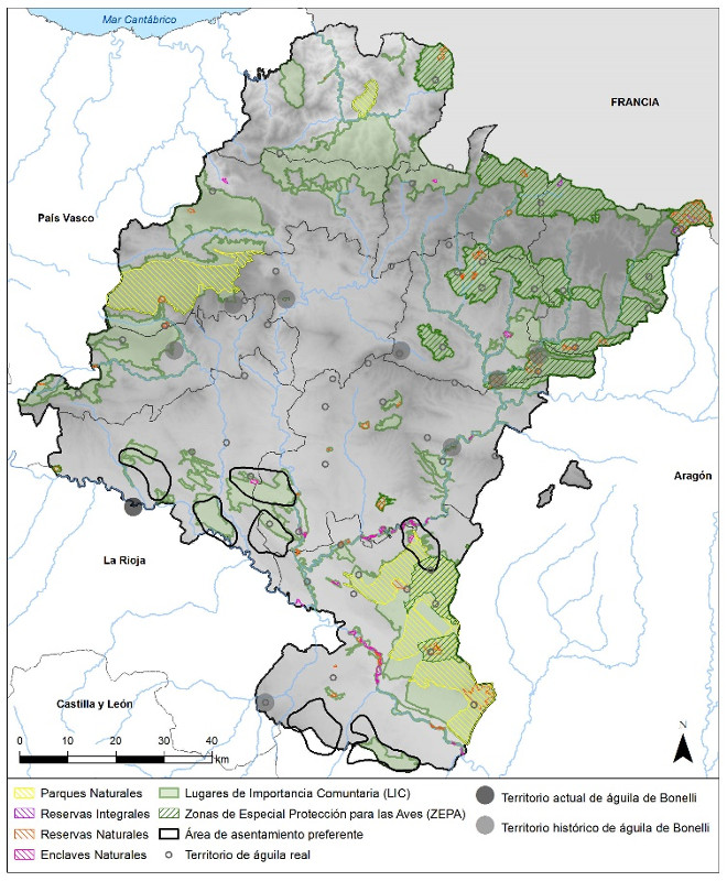 Áreas de asentamiento preferente de  águilas de Bonelli (Aquila fasciata) no territoriales en Navarra durante la época no reproductora y espacios protegidos.
