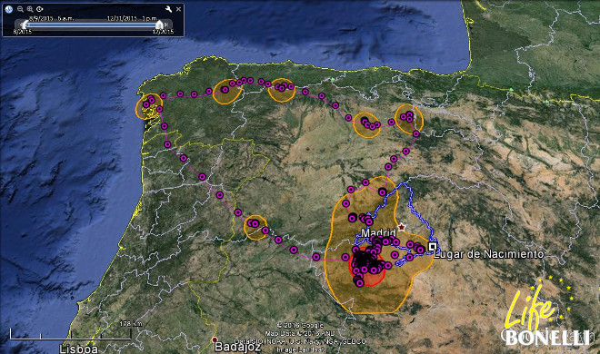 Ilustración 11.  Mapa Kernel de la distribución espacial de “Bélmez”  al  95% y 50%.