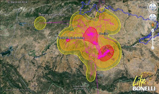 Ilustración 14. Mapa Kernel de la distribución espacial de “Coín“ al 99%, 95% y 50%.