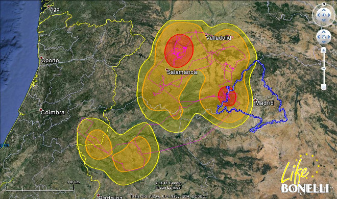 Ilustración 17. Mapa Kernel de la distribución espacial de “Marne”  al 99%, 95% y 50%.