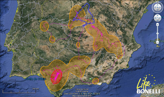 Ilustración 25. Mapa Kernel de la distribución espacial de “Verdún” 95% y 50%.