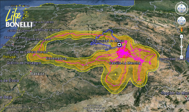 Ilustración 42. Mapa Kernel de la distribución espacial de “Dueña” al 99%, 95% y 50%.