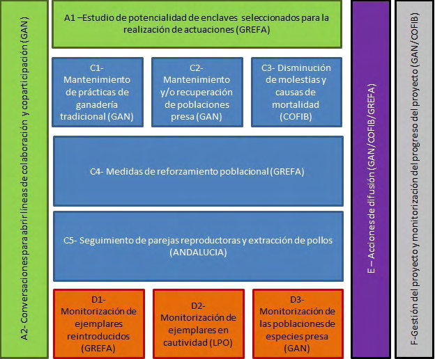 Esquema de las acciones "Life Bonelli"