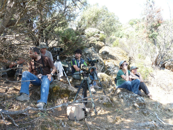 Technicians from the Chartered Community of Navarre during the release (hacking) of the Bonelli's Eagle in Madrid