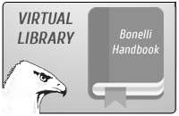 lifebonelli biblioteca eng