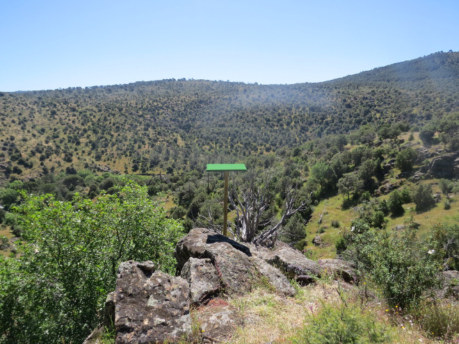 Punto de alimentación para la liberación de águilas de bonelli en el río Cofio