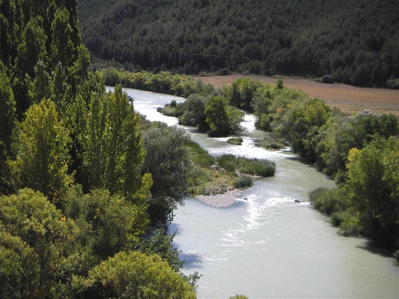 Vado del Aragón en Yesa. (CC) Luisa Arana. www.biodiversidad.navarra.es