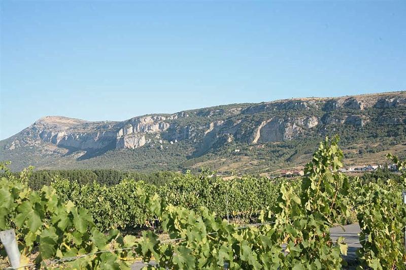 Panorámica de los roquedos de Etxauri desde le Señorío de Otazu. (CC) Luisa Arana. www.biodiversidad.navarra.es