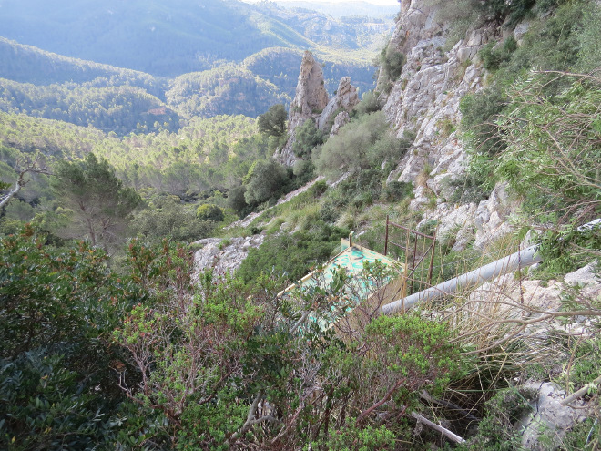 Hacking d’àguila cuabarrada a la serra de Tramuntana