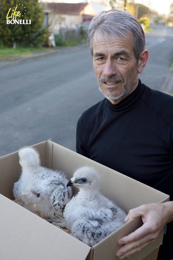 Christian Pacteau with Argonne and Verdun, the first Bonelli’s Eagles chicks.