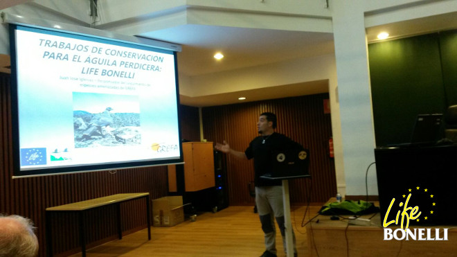Juanjo Iglesias of GREFA explaining the Life Bonelli Project to the participants of the seminar.