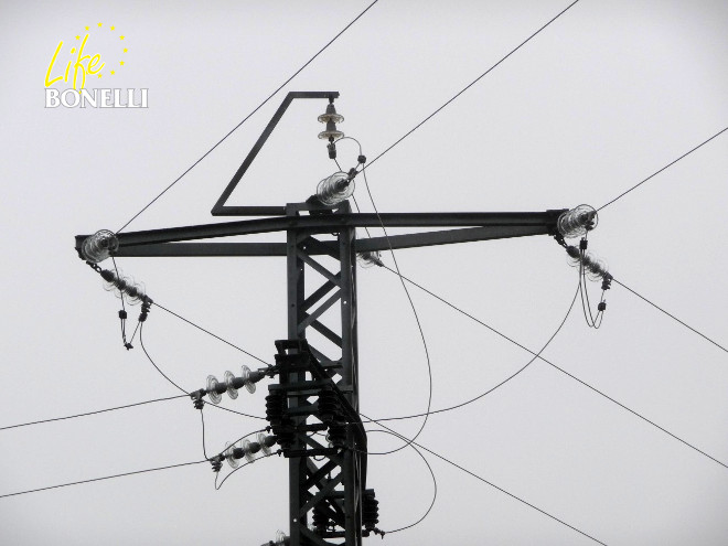 Apoyos de tendidos eléctricos en la Comunidad de Madrid evaluados por GREFA de cara a su corrección por su afección al águila de Bonelli. Foto: GREFA.