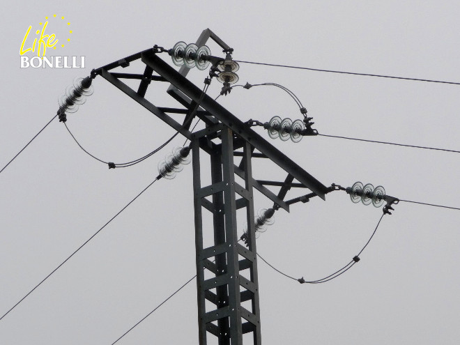 Apoyos de tendidos eléctricos en la Comunidad de Madrid evaluados por GREFA de cara a su corrección por su afección al águila de Bonelli. Foto: GREFA.