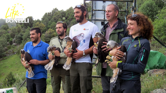 Componente de GREFA, miembros de las acciones desarrolladas en Andalucia y Navarra, Técnico de la Comunidad de Madrid y representante de los Agentes Forestales de la Comunidad de Madrid presentan las águilas antes de ser liberadas.