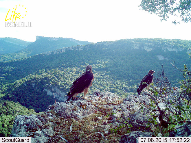 The initial flights of Soila and Oteo, in the Basque press