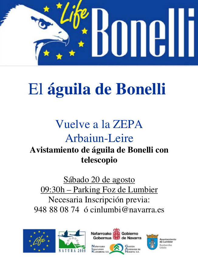 El águila de bonelli, avistamiento con telescopio