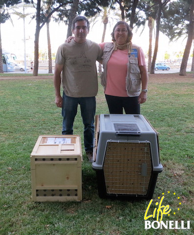Joan Mayné (Centro de Recuperación de Torreferrussa, Barcelona) entrega los dos pollos a Carlota Viada (COFIB-LIFE Bonelli) en el puerto de Barcelona.