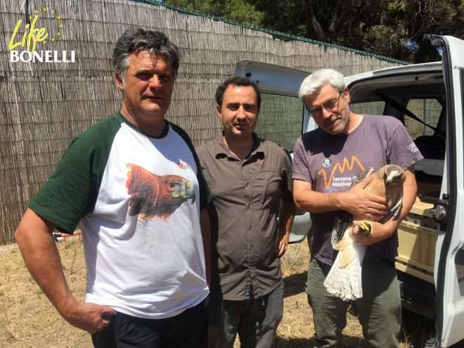 De izquierda a derecha, Ernesto Álvarez, de GREFA, junto con el cuidador y el veterinario (que sujeta al águila de Bonelli) del Centro de Recuperación de Fauna de La Granja de El Saler (Valencia)