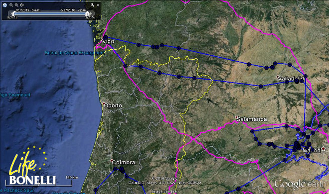 En rosa el viaje de "Dueña" y en azul el de "Turón".