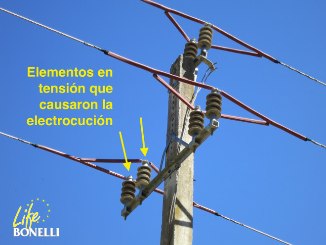 Poste en el que se ha electrocutado 'Estepona'. 