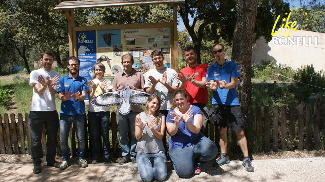 La mariposa de la Red Natura 2000, "en manos" de trabajadores y voluntarios del Hospital de Fauna de GREFA, socio de LIFE Bonelli.