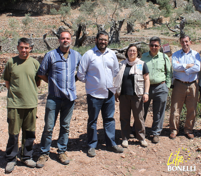 El Conseller Vicenç Vidal, en el centro, rodeado de personal de la finca, del Servei de Protecció d’Espècies, COFIB, IBANAT y Fundació Natura Parc.