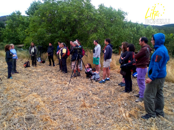 Jornada de avistamiento en Lumbier (Navarra)