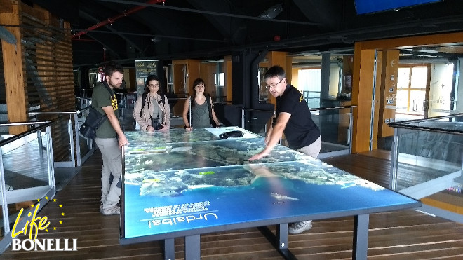 Javier Elorriaga explica al equipo de LIFE Bonelli la cobertura geográfica del proyecto de reintroducción del águila pescadora en las impresionantes instalaciones de Urdaibai Bird Center.