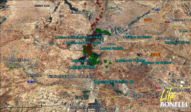 Mapa con los movimientos de "Júpiter" (en verde), y de "Dueña" (en rojo) en la zona de las lagunas manchegas.