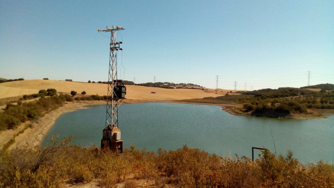 Apoyo junto a una balsa de riego en la provincia de Sevilla donde "Alcazaba" murió electrocutada.
