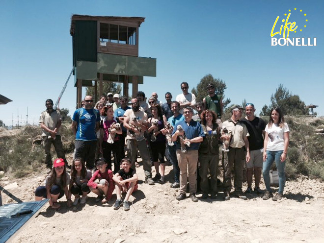 Los pollos llegaron desde GREFA y fueron muy bien recibidos por representantes del Ayuntamiento, de los centros escolares, asociación de cazadores, Guarderío de Medio Ambiente y otros.