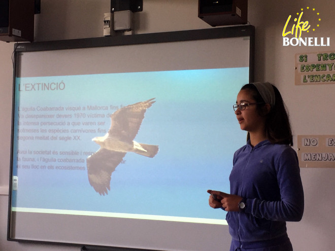 María, del CEIP "Rodamilans" (Sineu, Mallorca), comenta las circunstancias de la extinción del águila de Bonelli en Mallorca.