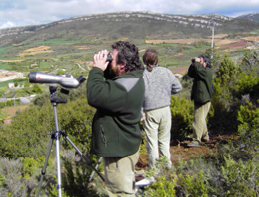 c5 seguimiento aguila bonelli alava