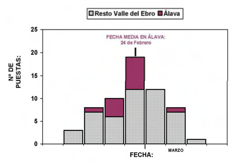 c5 seguimiento aguila bonelli alava