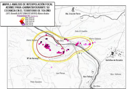 c5 seguimiento aguila bonelli alava